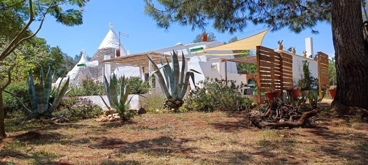 Estate nel Trullo – tra gli ulivi secolari di Villa&nbsp;Castelli